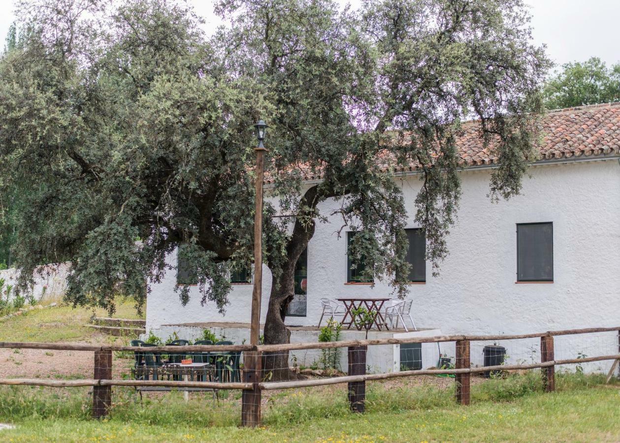 Maison d'hôtes La Umbria De La Ribera à El Pedroso Extérieur photo
